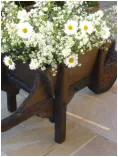 Old Wheelbarrow of Flowers