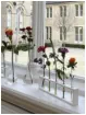 Test tubes and holders with flowers