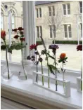 Test tubes and holders with flowers
